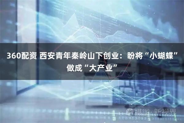 360配资 西安青年秦岭山下创业：盼将“小蝴蝶”做成“大产业”